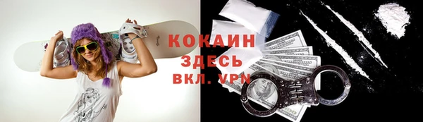 стафф Волосово