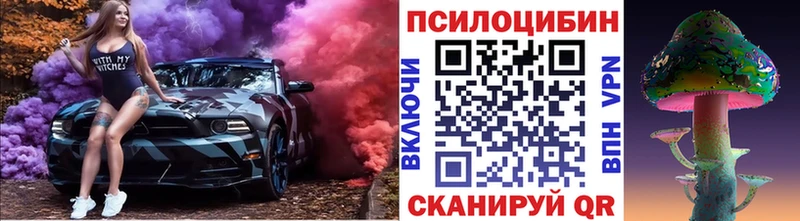 Псилоцибиновые грибы Psilocybine cubensis  Купить  Мыски 